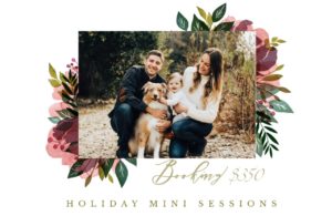 Featured Image Showing Pricing For 2019 Holiday Mini Sessions